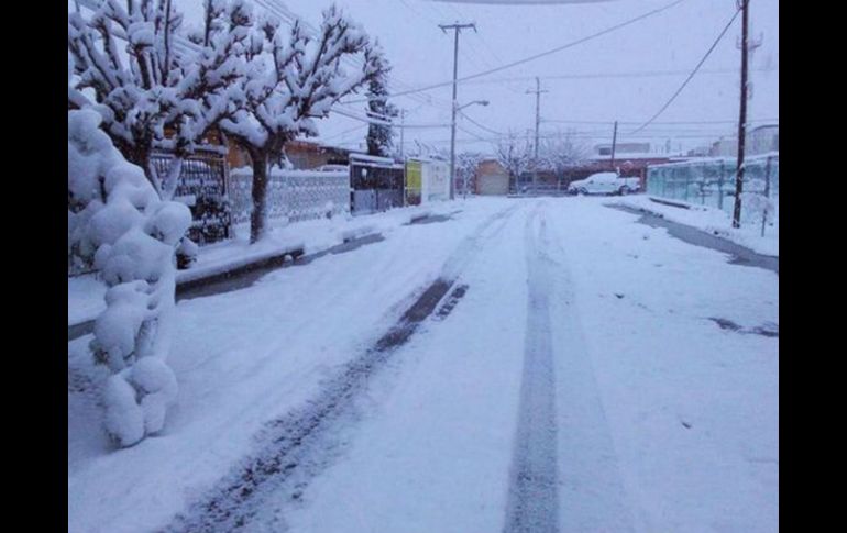 Veinte municipios chihuahuenses se han visto perjudicados por severas nevadas debido a la quinta temporada invernal. NTX / ARCHIVO