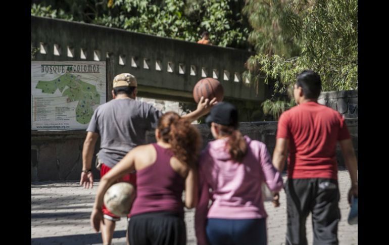 Los paseantes que acuden en fin de semana al bosque de Los Colomos aumentó de seis mil a seis mil 600. EL INFORMADOR / ARCHIVO