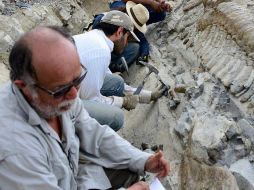 Un equipo de investigadores buscaron evidencias geoquímicas de oxigenación en sedimentos de hace mil 400 millones de años en China. AFP / ARCHIVO