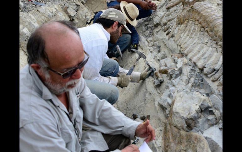 Un equipo de investigadores buscaron evidencias geoquímicas de oxigenación en sedimentos de hace mil 400 millones de años en China. AFP / ARCHIVO