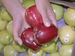 El impuesto también se aplicará a cualquier otra fruta, sin importar el país de procedencia. EL INFORMADOR / ARCHIVO