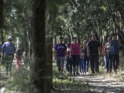 El TAE obligagaría al Ayuntamiento tapatío a otorgar una licencia de construcción para fraccionar dentro del área verde. EL INFORMADOR / ARCHIVO