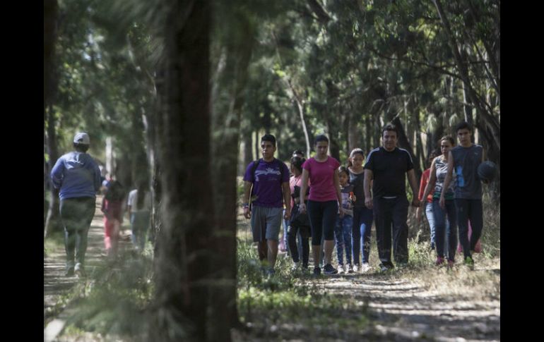 El TAE obligagaría al Ayuntamiento tapatío a otorgar una licencia de construcción para fraccionar dentro del área verde. EL INFORMADOR / ARCHIVO