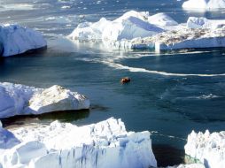 Las grandes formaciones de hielo dejan un rastro de actividad biológica que persiste al menos un mes tras su paso. AP / ARCHIVO