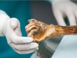 En 2012, un análisis del cromosoma Y muestra que la línea genética paterna de Ötzi todavía sigue presente en la población actual. TWITTER / @EURAC