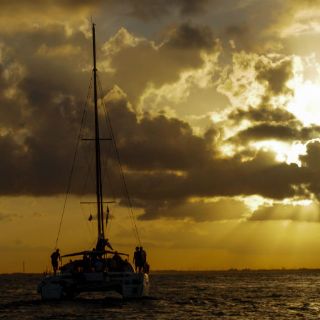 La Cofece investiga mercado de barcos en Quintana Roo