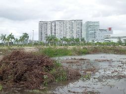 La Fonatur afirma que todos los aspectos ambientales son una prioridad en la planeación y desarrollo de proyectos. SUN / ARCHIVO