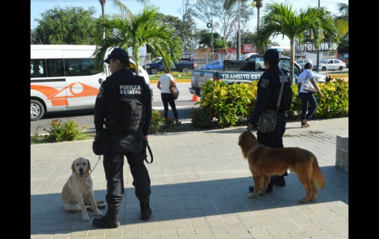 Acapulco es la ciudad mexicana más violenta, la cuarta a nivel mundial. EL INFORMADOR / ARCHIVO