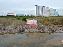 Esta mañana, el ex presidente de México negó que en 2006 aprobara las obras en el predio en Cancún. AFP / E. Ruiz