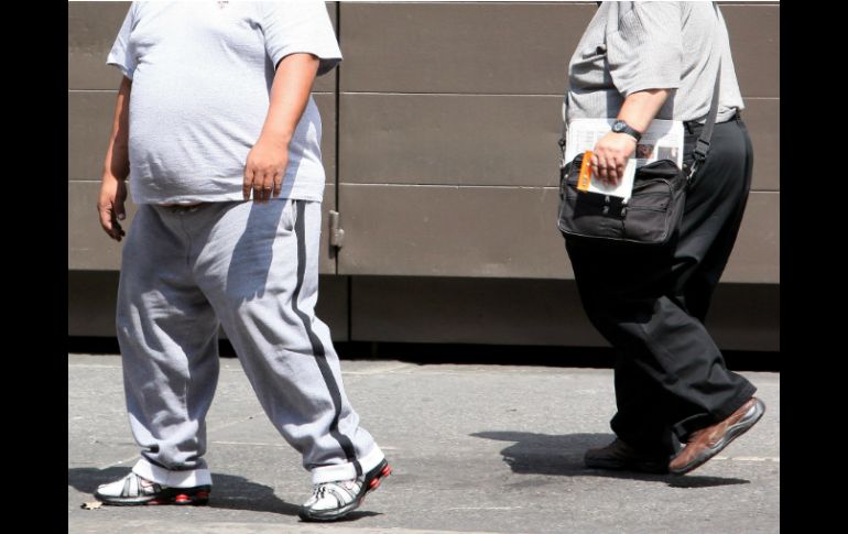 Afirman que por dichos mecanismos moleculares la obesidad se puede transmitir entre generaciones. EFE / ARCHIVO