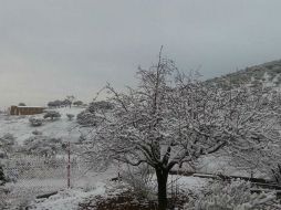 El frente frío 34 y la octava tormenta invernal han ocasionado fuertes heladas en varios estados del norte de México. NTX / ARCHIVO