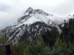 Las temperaturas en las sierras del Estado serán de alrededor de cinco grados bajo cero. EL INFORMADOR / ARCHIVO