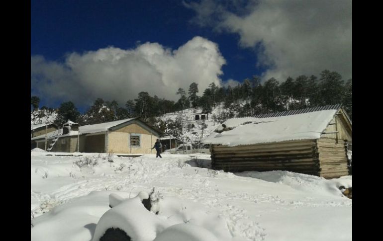 El Gobierno de la República brindó así una oportuna atención a la población ante los efectos de la emergencia, destacan. NTX / ARCHIVO