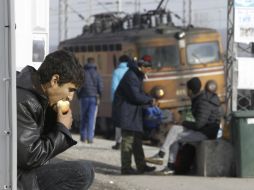 La ONU estima que se necesitan más de siete mil MDE para atender las necesidades urgentes de los refugiados sirios sólo en 2016. AP / B. Grdanoski