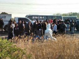 Los cuatro cuerpos fueron hallados este miércoles en el cruce de la carretera a Chapala y la carretera a La Alameda. EL INFORMADOR / ARCHIVO