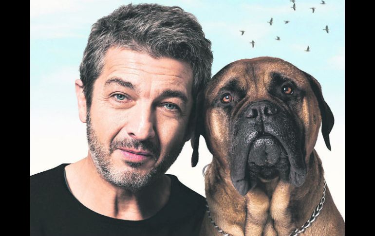 Galardonado. Ricardo Darín junto al perro que da nombre a la cinta 'Truman'. ESPECIAL /