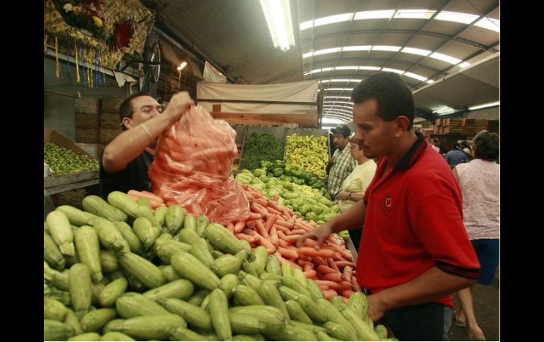 Las calabacitas, cebolla, jitomate y plátano; entre los alimentos que incrementaron y afectaron a la inflación el mes pasado. EL INFORMADOR / ARCHIVO