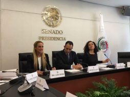 Tintori fue bienvenida por un largo aplauso de los legisladores reunidos en le salón de plenos. TWITTER / @liliantintori