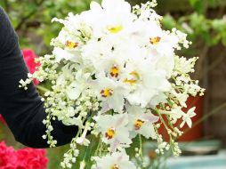 Crisantemos, gladiolas, celindas, las del naranjo mexicano, además de las de cedro y enebro, en particular los tallos, están prohibidos EFE / ARCHIVO