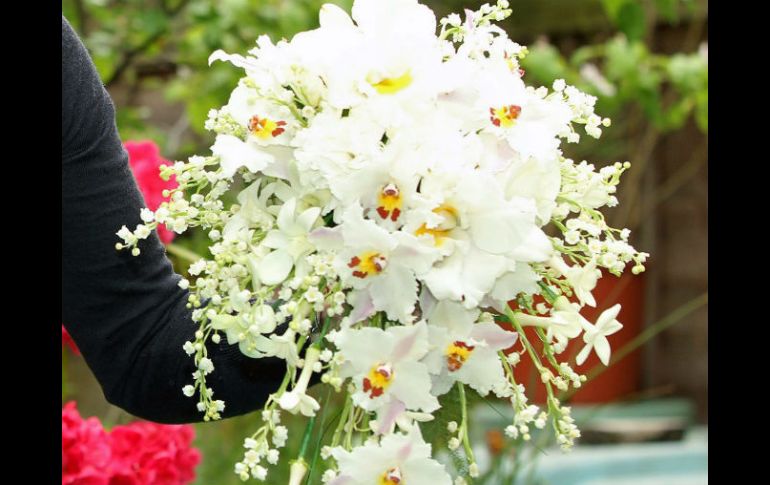 Crisantemos, gladiolas, celindas, las del naranjo mexicano, además de las de cedro y enebro, en particular los tallos, están prohibidos EFE / ARCHIVO