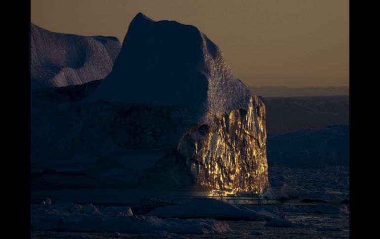 Desde que el iceberg está en la zona donde se encuentra la colonia, las aves han sido obligadas a desplazarse para comer. AP / ARCHIVO