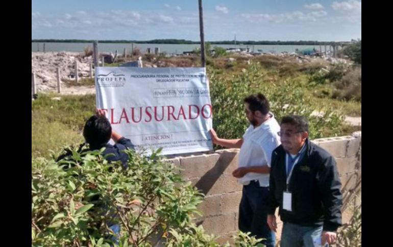 Las zonas dañadas se encuentran en lista que las catergoriza de amenazadas y en riesgo de desaprecer. TWITTER / @PROFEPA_Mx