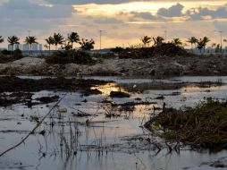 En 2007 el Fonatur donó 107.6 hectáreas a Cancún para habilitarlas como un parque, hoy conocido como 'Malecón Tajamar'. AFP / ARCHIVO