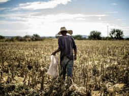 Impulsan acciones prioritarias para el desarrollo del campo, con la participación de los diversos actores del sector. EL INFORMADOR / ARCHIVO