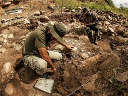 Investigadores aseguran que el hallazgo será un avance enorme para el período Jurásico. EL INFORMADOR / ARCHIVO