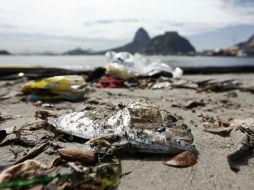 La contaminación en la sede de vela y la posibilidad de que esto desate más enfermedades ha preocupado a los atletas. EFE / M. Sayao