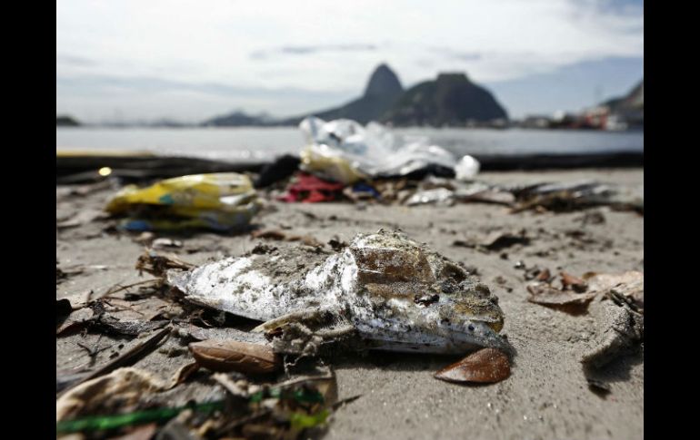 La contaminación en la sede de vela y la posibilidad de que esto desate más enfermedades ha preocupado a los atletas. EFE / M. Sayao