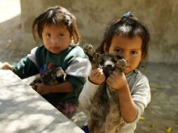 Otro factor que influye en el deceso es que la mayoría de las madres tienen bajo nivel educativo y social. EL INFORMADOR / ARCHIVO