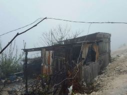 Vientos fuertes derribaron árboles, destecharon casas y dejaron sin energía eléctrica. NTX / ARCHIVO