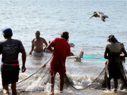 Las autoridades federales emplearán recursos de investigación e inteligencia para combatir la pesca ilegal. NTX / ARCHIVO