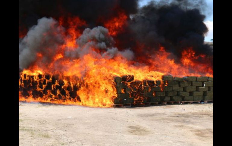 Participaron elementos de Protección Civil y Bomberos. TWITTER / @PGR_Jal