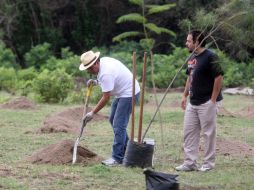 Recomiendan tener plantas, no deforestar y sembras más árboles para generar sombra. EL INFORMADOR / ARCHIVO