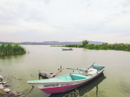 Mala Agua. En los últimos tres años se incrementó la cantidad de agua contaminada. EL INFORMADOR / P. Franco