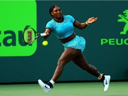 Williams tratará de confirmarse como la reina de Miami si logra el título, que será su noveno en el certamen. AFP / M. Ehrmann