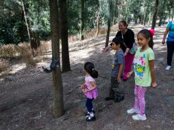 Niños y adultos disfrutan del Bosque Los Colomos. EL INFORMADOR / P. Franco