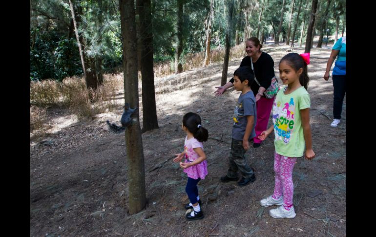 Niños y adultos disfrutan del Bosque Los Colomos. EL INFORMADOR / P. Franco