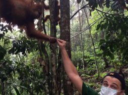 Visitó un centro de cuarentena en Indonesia, del Programa para la Conservación de Orangutanes. INSTAGRAM / @leonardodicaprio