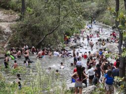 En el Bosque de la Primavera se recibieron 43 mil 328 visitantes y no se presentó ningún incendio. EL INFORMADOR / ARCHIVO