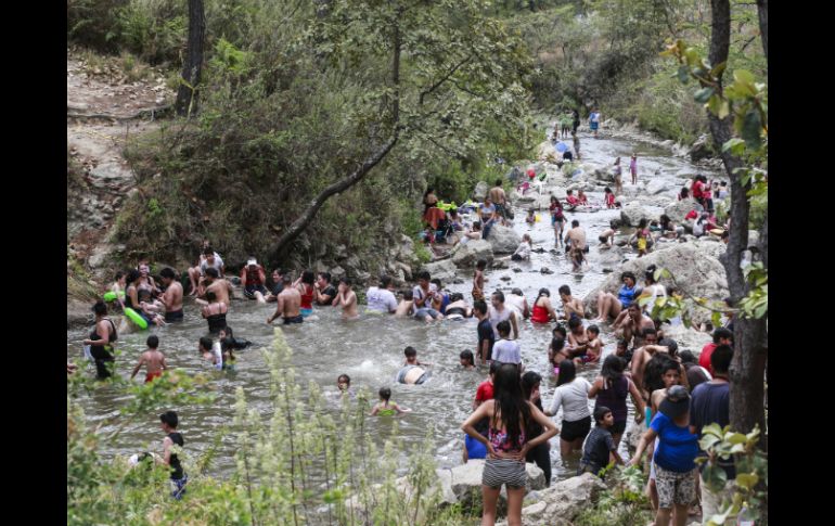 En el Bosque de la Primavera se recibieron 43 mil 328 visitantes y no se presentó ningún incendio. EL INFORMADOR / ARCHIVO