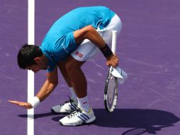 Si levanta el trofeo el domingo, también  empataría con Agassi con tres títulos al hilo. AFP / C. Brunskill