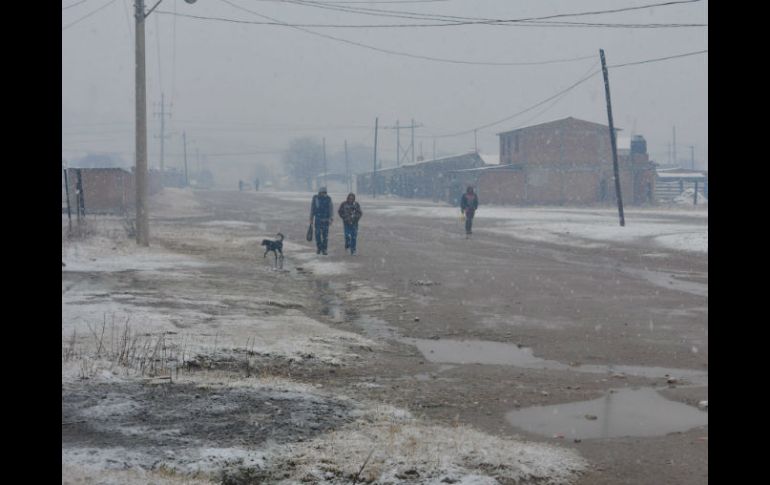 La presencia de nevada severa causó daños en Canatlán, Durango. NTX / ARCHIVO