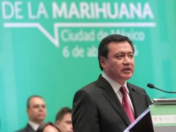 El funcionario reconoce que la violencia que se genera en torno a la mariguana tiene que ver con su producción. EFE / S. Gutiérrez