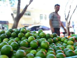 Mientras productos agropecuarios como el limón sufren alzas, otros como la cebolla y el jitomate lo compensan con bajas. EL INFORMADOR / ARCHIVO