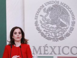 La jefa de la oficina de la SRE, Ana Paola Barbosa, recuerda que fue el Gobierno de México quien pidió la creación del grupo. NTX / J. Pazos