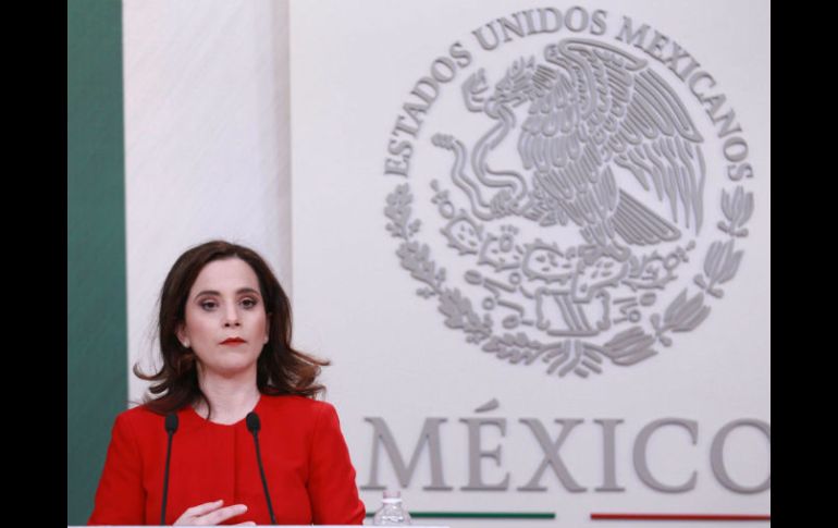 La jefa de la oficina de la SRE, Ana Paola Barbosa, recuerda que fue el Gobierno de México quien pidió la creación del grupo. NTX / J. Pazos