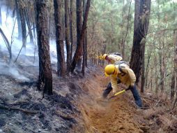 El incendio afectó una superficie aproximada entre las 240 y 250 hectáreas, de acuerdo a informacón de la Conafor. NTX / ARCHIVO